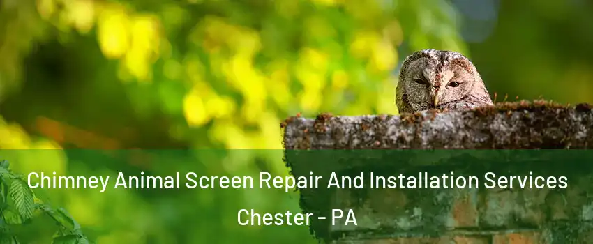  Chimney Animal Screen Repair And Installation Services Chester - PA