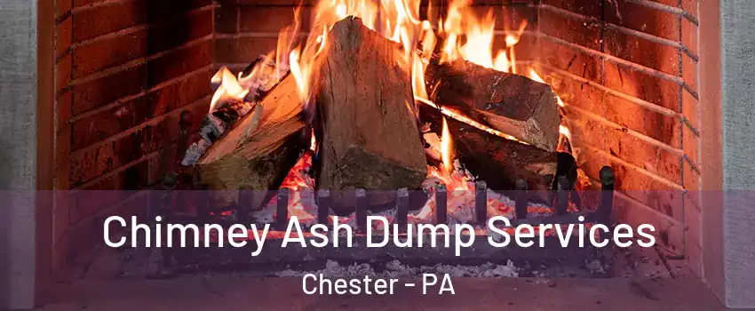  Chimney Ash Dump Services Chester - PA
