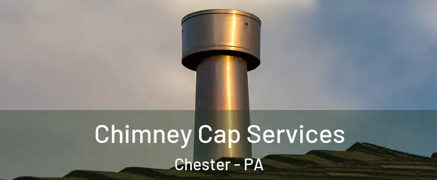  Chimney Cap Services Chester - PA