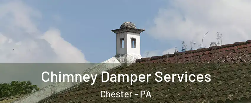  Chimney Damper Services Chester - PA