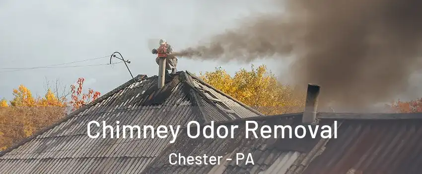  Chimney Odor Removal Chester - PA