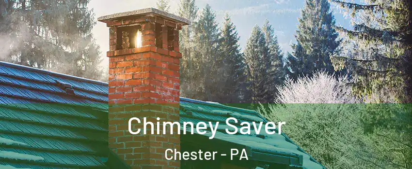  Chimney Saver Chester - PA