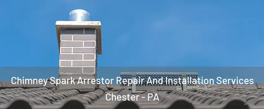  Chimney Spark Arrestor Repair And Installation Services Chester - PA