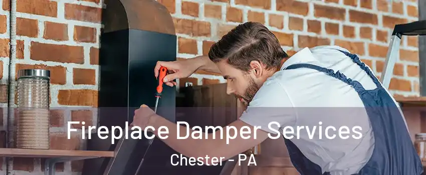  Fireplace Damper Services Chester - PA