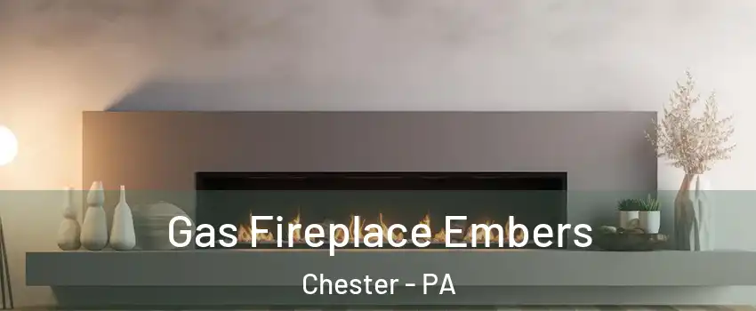  Gas Fireplace Embers Chester - PA