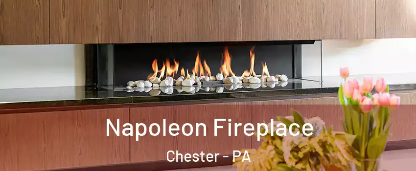  Napoleon Fireplace Chester - PA