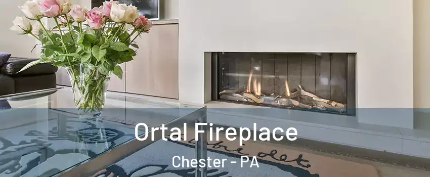 Ortal Fireplace Chester - PA