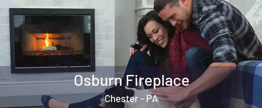  Osburn Fireplace Chester - PA